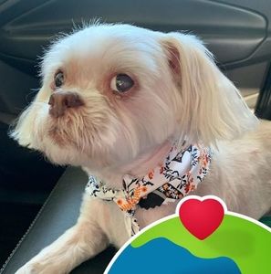 Meet your Posher, Leona